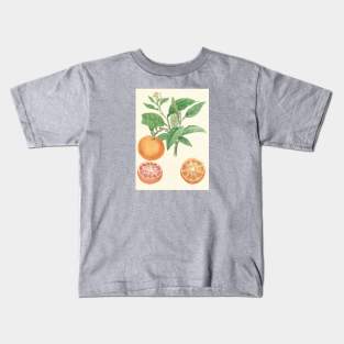 botanical illustration of oranges Kids T-Shirt